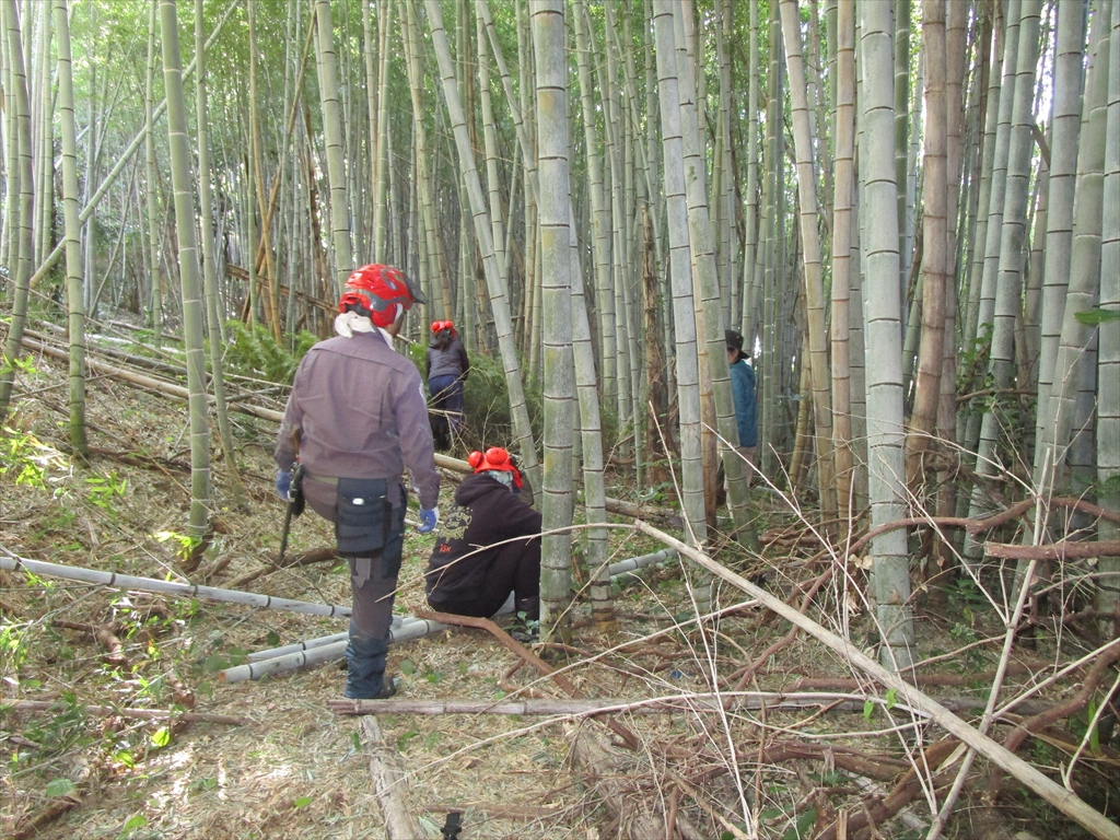 04fdeb64333bf4fccaead2edda809c3e