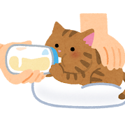 pet_honyubin_cat_utsubuse