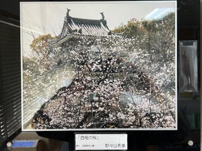 野々山秀美