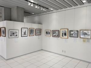 IMG20250713144253